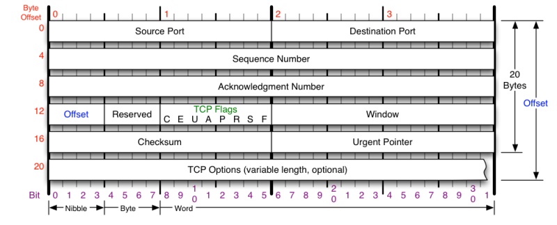 TCP头格式（图片来源）