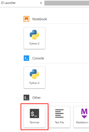 Launch terminal in Jupyter