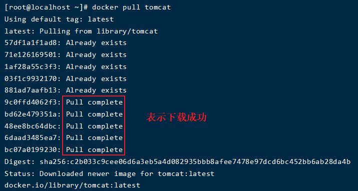 image-20200912202436866