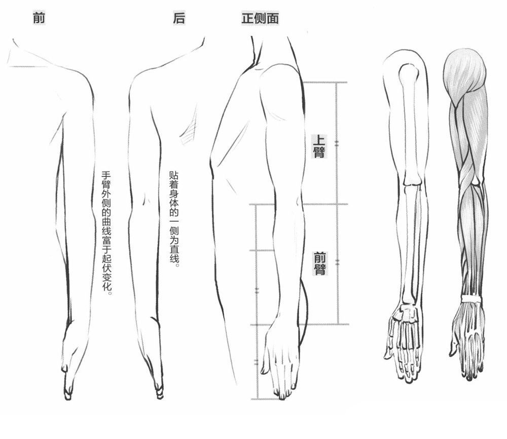 動漫人物手臂怎麼畫? 如何畫好手臂?_主角有四隻手臂的漫畫-csdn博客