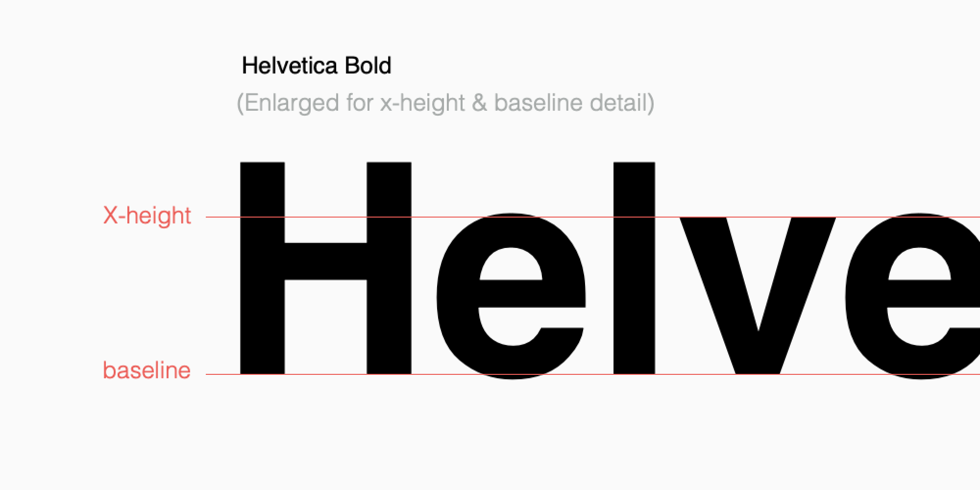 Zoomed in example of rounded letterforms like the lowercase “e” extending outside the bounds of the x-height and baseline.