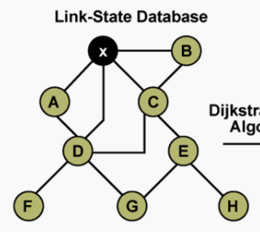 LSA组成Link-State Database